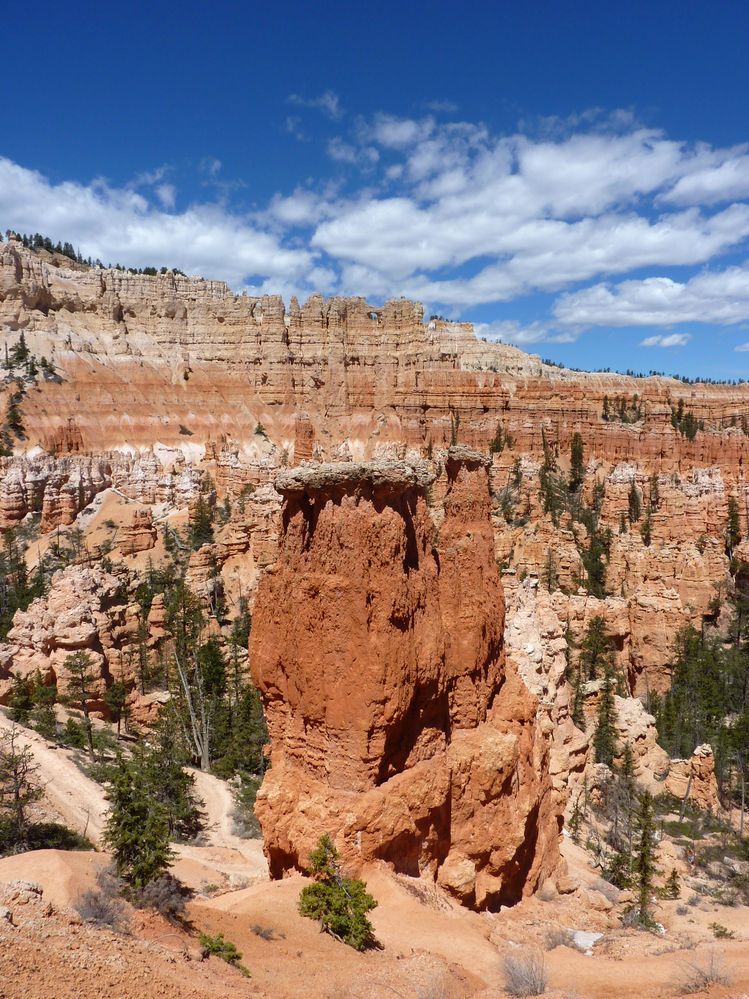bryce canyon (73).JPG